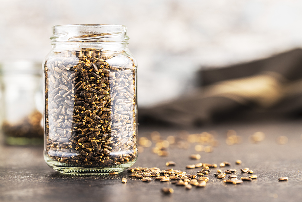 Na co pomaga ostropest plamisty? Właściwości i zastosowanie